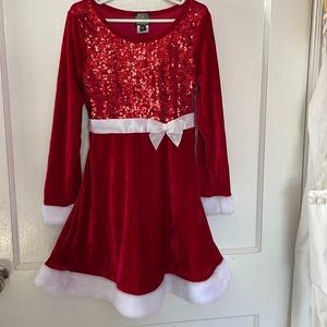 Adorable Christmas Dress